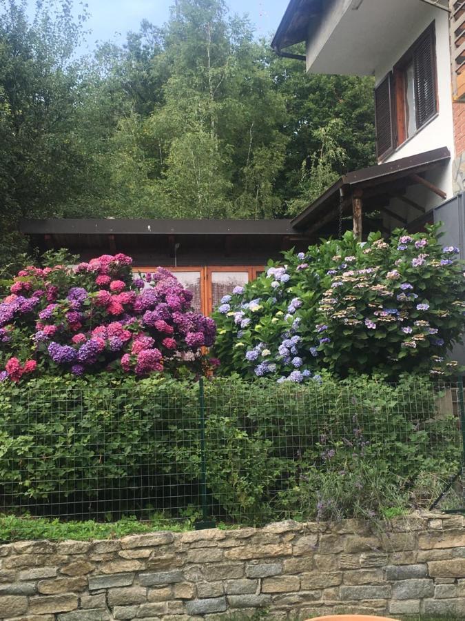 Lo Scoiattolo Acomodação com café da manhã Giaveno Exterior foto